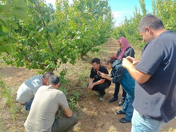 FARMS4CLIMATE Project: Empowering Mediterranean Farmers for a Greener Future