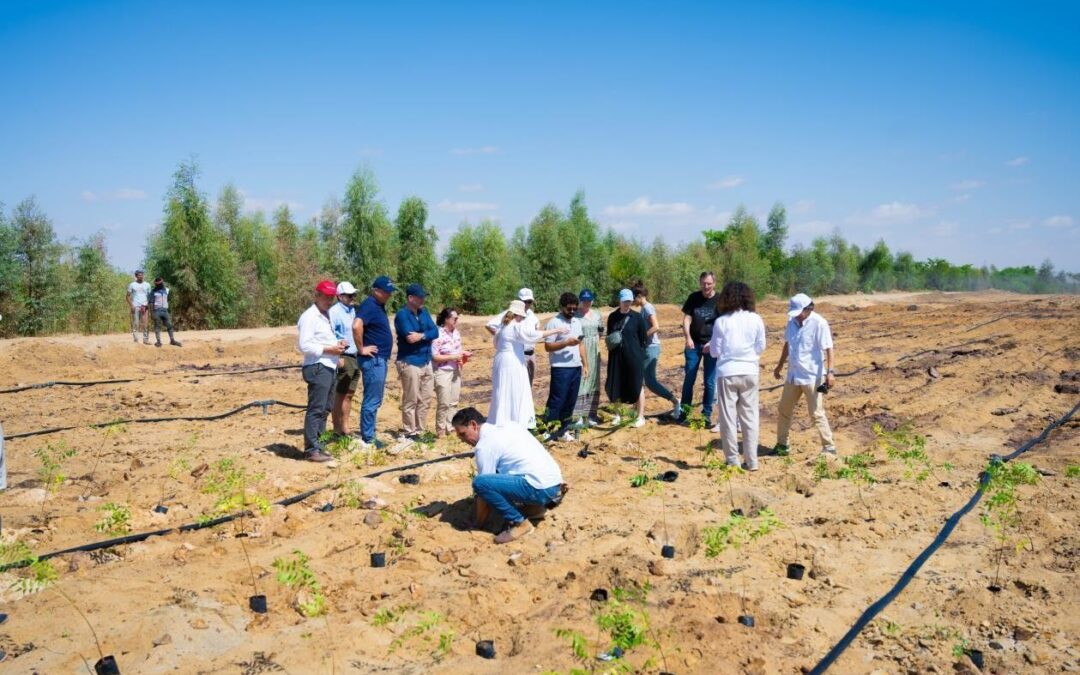 50,000 Trees for the Future: Greening the Desert at Wahat Farm