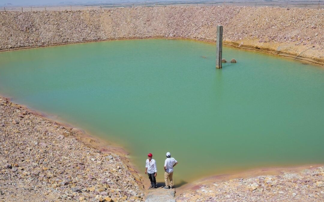 Progress Report on Solar-Powered Night Irrigation at SEKEM